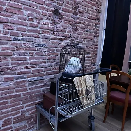 Le Refuge Mysterieux D'harry Proche Gare Apartment *