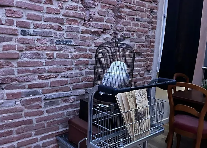 Le Refuge Mysterieux D'harry Proche Gare アパート *